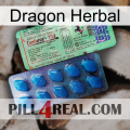 Dragon Herbal new02